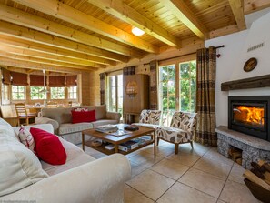 Televisión de pantalla plana, chimenea y reproductor de DVD 