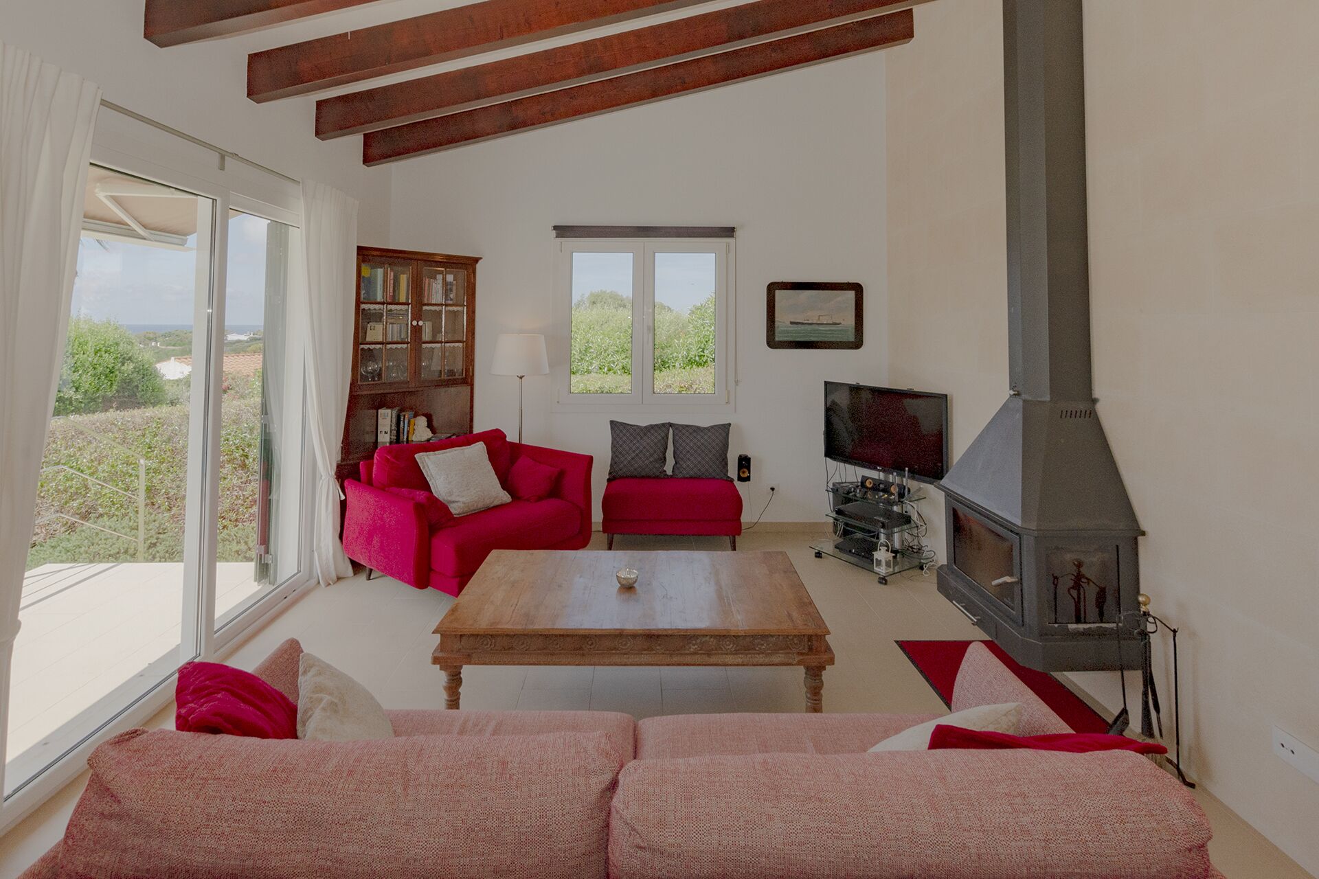 电视、Netflix、DVD 播放器、书