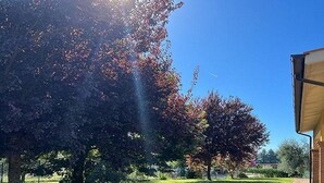 Un espace verdoyant bien entretenu, avec des arbres et un bâtiment en arrière-plan.