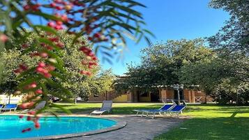 Outdoor pool, sun loungers