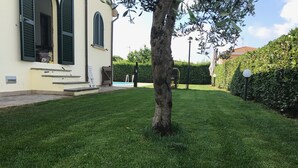 Une pelouse bien entretenue avec un arbre, un bâtiment blanc doté de fenêtres en arc de cercle et un arbuste en arrière-plan.