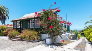 A house with a tiled roof, a green exterior, and a white front porch. There are steps leading to the front door, and a large flowering bush in front of the house.