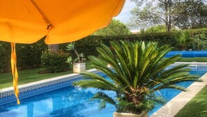 Une piscine bordée de carreaux, entourée d’une pelouse bien entretenue et d ’un palmier.