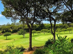 Een golfbaan met bomen en een heldere lucht.