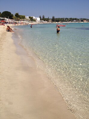 Playa en los alrededores 