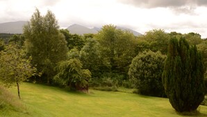 A grassy field with trees and a mountain in the background.