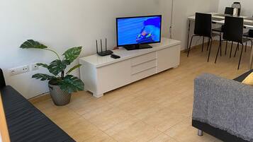 Smart TV, DVD player, books, video library