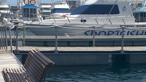 مارينا