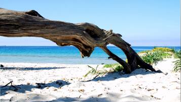 Accommodatie ligt op het strand