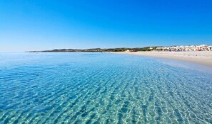 A clear beach with shallow water, a sandy shore, and a distant shoreline with buildings and umbrellas. - Alghero Apartment Cervi 30 meters from Alghero beach for 6 persons (Alghero)