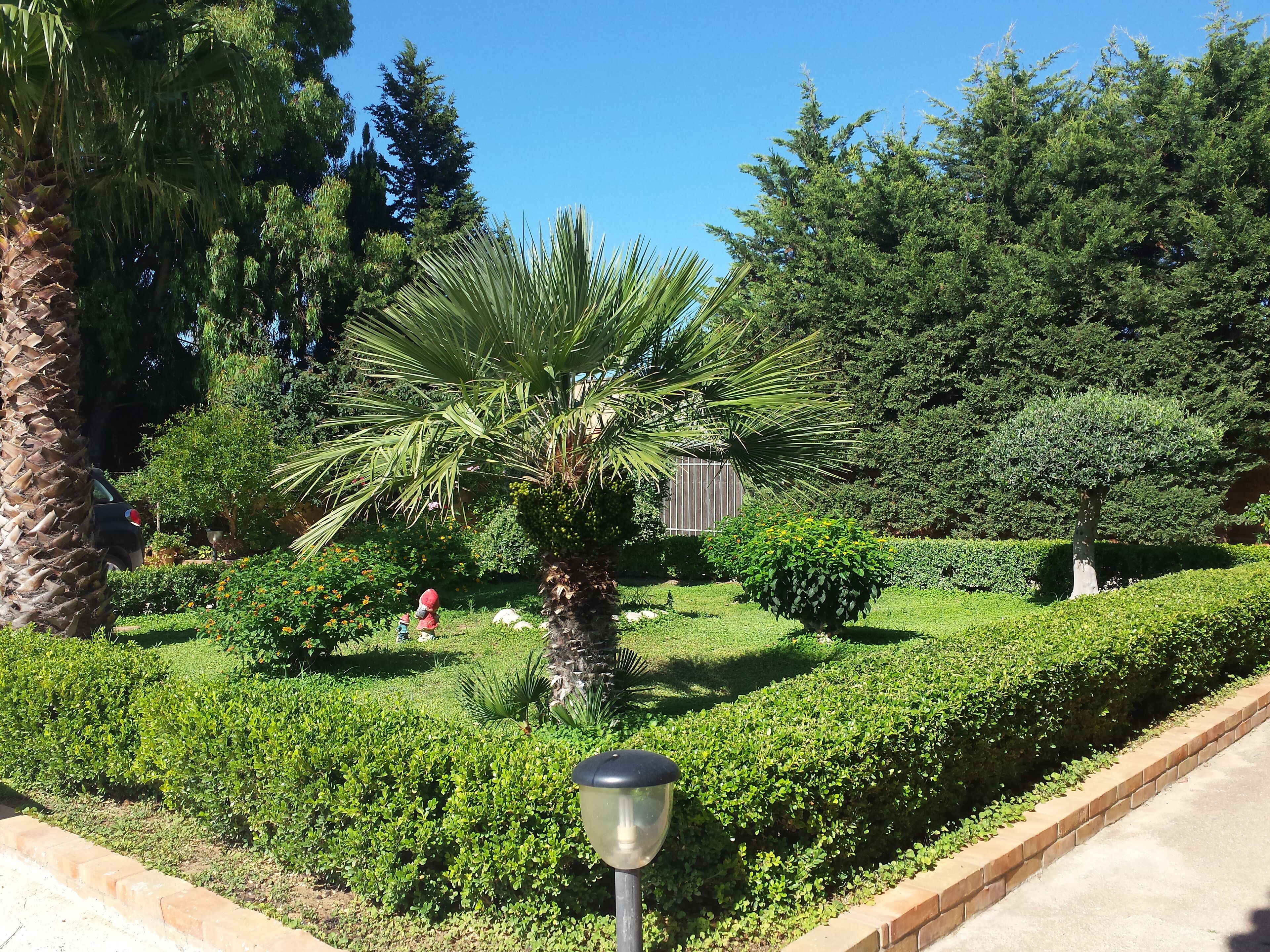 Un jardin bien entretenu, avec différents arbres, une haie soigneusement taillée et un lampadaire.
