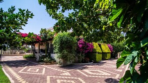 Une cour dallée, ornée d’un motif géométrique, et entourée d’une végétation luxuriante et de plantes en fleurs.