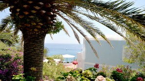 A lush garden with a variety of flowers and a palm tree, overlooking a coastal view with boats.