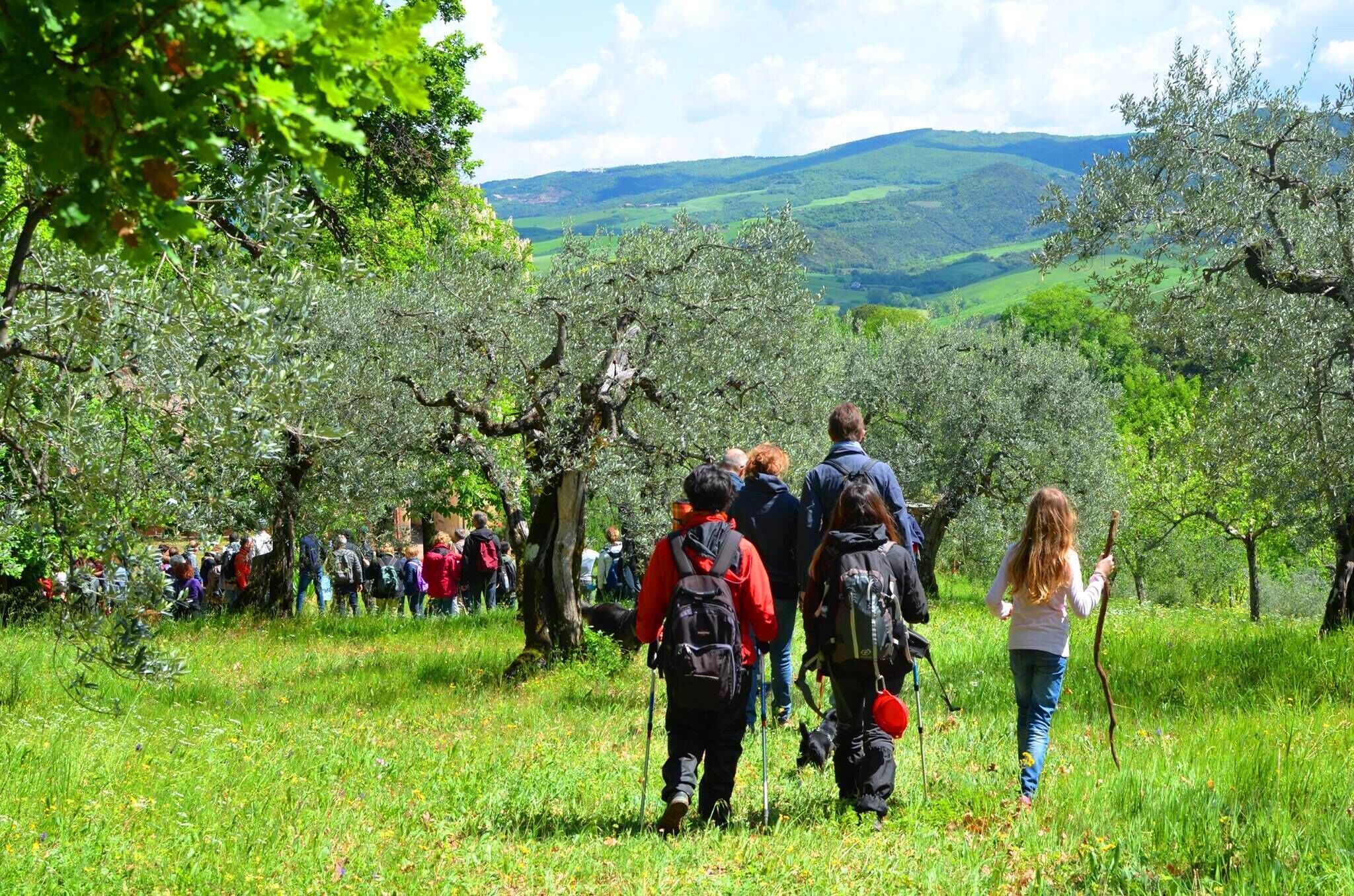 A group of people hiking in a lush, green valley with trees and hills in the background.