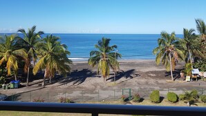 A beach view with palm trees and a clear sky.