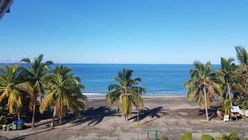 Vista de playa con palmeras y cielo despejado.