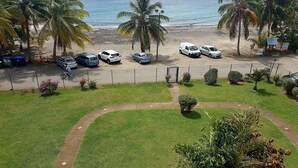 A beachside parking area with several cars, a pathway, and palm trees.