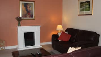 TV, fireplace, DVD player, books