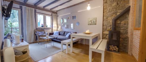 تلفزيون، مدفأة، كُتُب