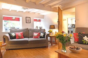 Een smart-tv, een open haard, een dvd-speler en speelgoed