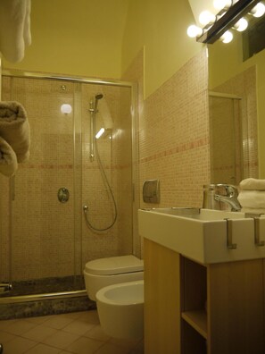 Shower, hair dryer, bidet, towels