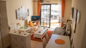 Smart TV, DVD player, books, video library