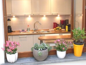 Una cocina con armarios blancos, un lavamanos y una encimera. Hay tres macetas con plantas en el alféizar de la ventana.