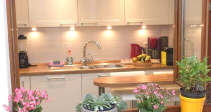 Brussels Nice Apartment Modern near EU, Grand place. Free Garage, Free WI-FI