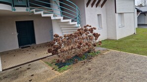A building with a white exterior, a blue spiral staircase, and a small garden area with dried flowers. - Apartment La Mouette Rated 3* (Saint-Philibert)