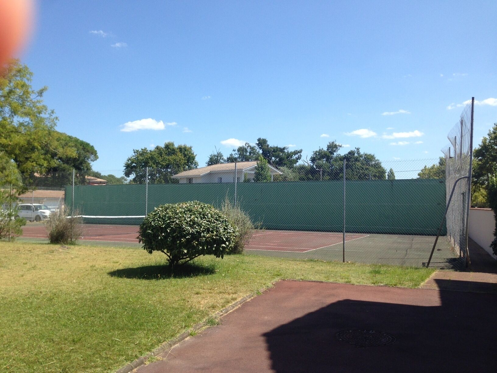 A tennis court with a green fence, a small bush, and a building in the background.