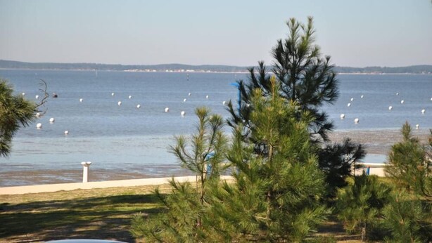 A coastal view with a beach, sea birds, and a distant shoreline.