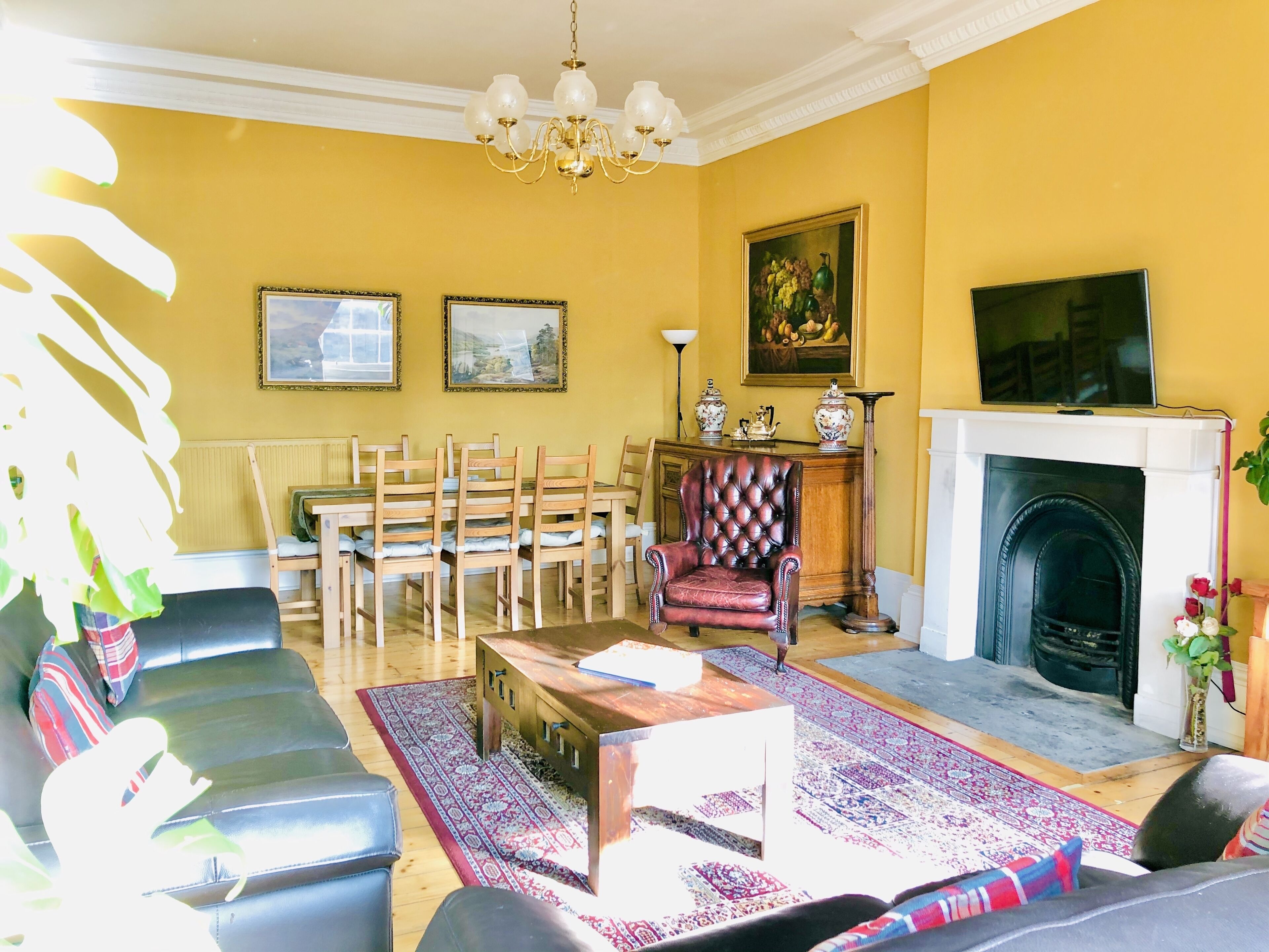 Smart TV, fireplace, DVD player, books