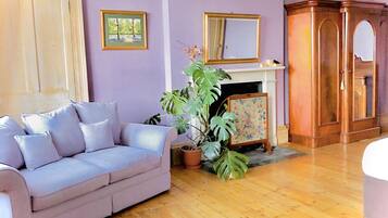 Smart TV, fireplace, DVD player, books