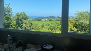 A room with a large window offering a view of a green landscape and a distant body of water.