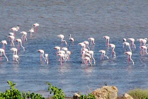 Playa en los alrededores 