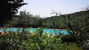 Une piscine rectangulaire entourée d’une végétation luxuriante et d’arbres.