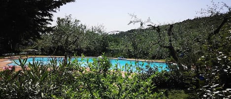 Una piscina al aire libre