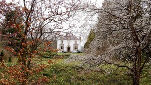 Um edifício grande e branco com fachada simétrica, cercado por um jardim exuberante com árvores floridas e um gramado bem cuidado.