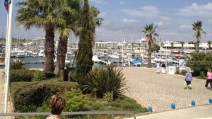 A marina with boats, palm trees, and a cobblestone path.