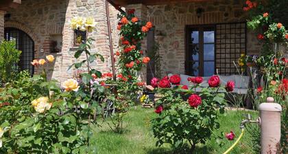 House with garden in a stone farmhouse