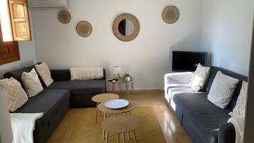TV connectée, cheminée, lecteur de DVD, livres