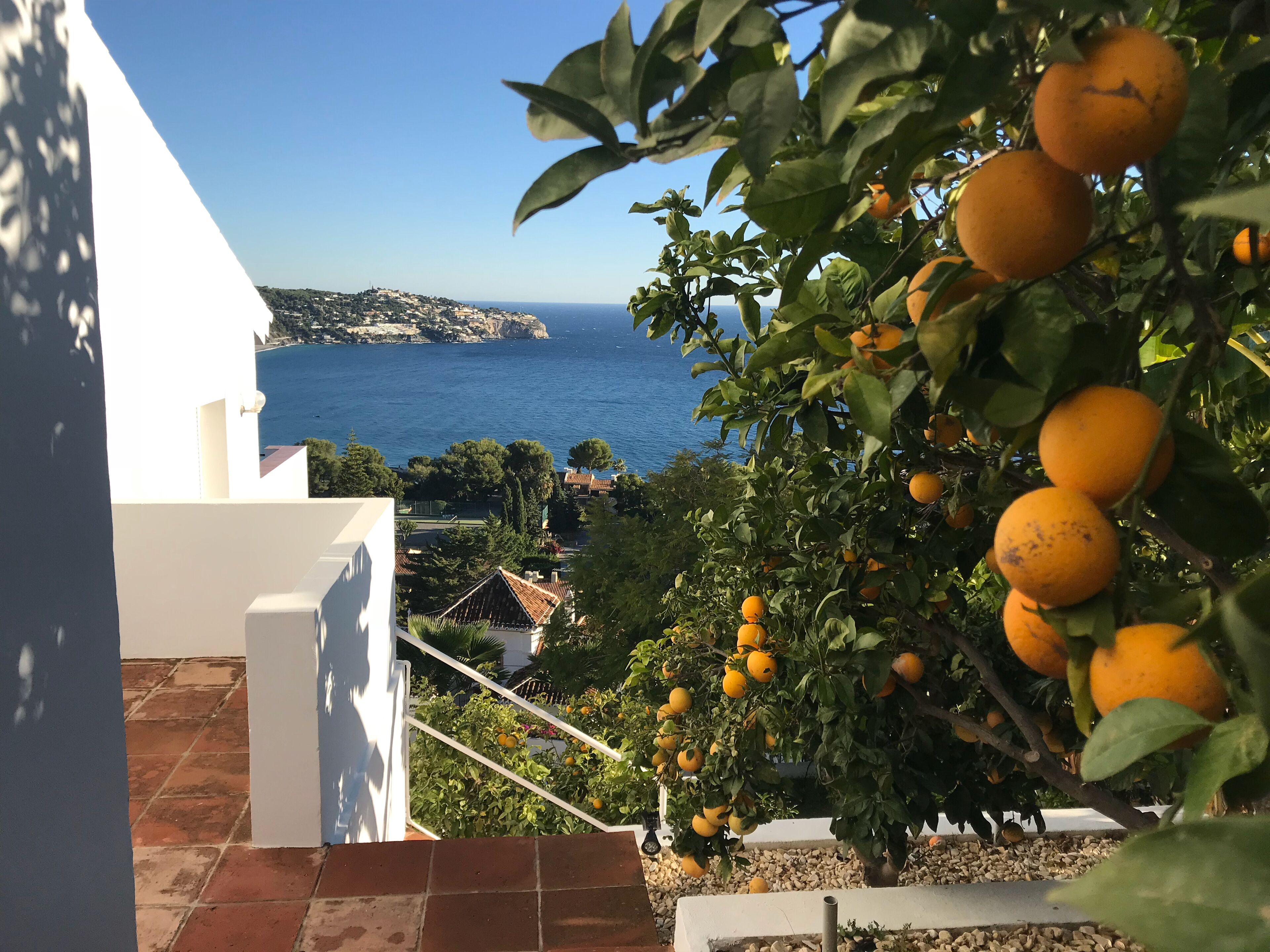 A view of a coastal area with a staircase leading to a terrace overlooking the sea.