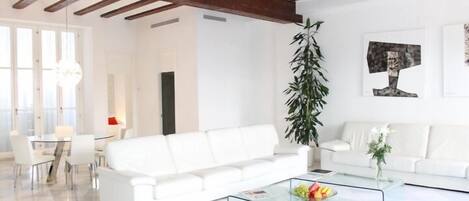 Una Smart TV, una chimenea, libros