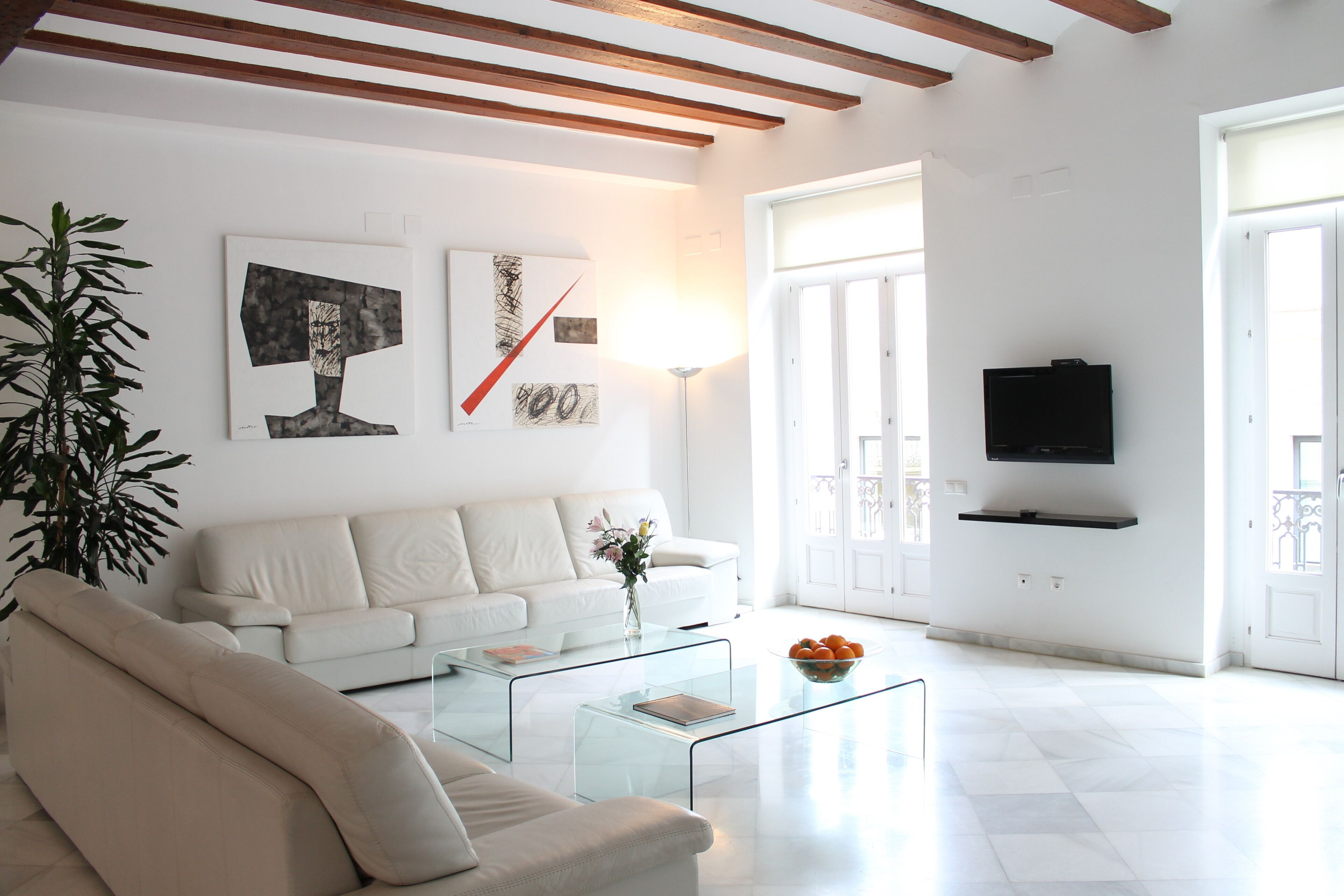 Smart TV, fireplace, books