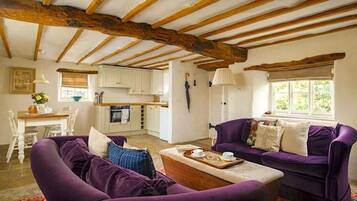 TV, fireplace, DVD player, books