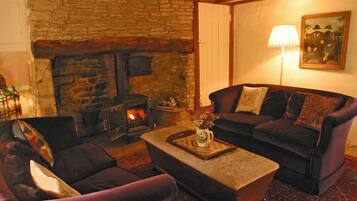 TV, fireplace, DVD player, books