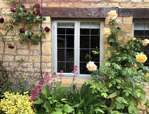 Exterior detail - Hook Cottage - Beautiful 4 bedroom Cotswold cottage in Chipping Campden (Chipping Campden)