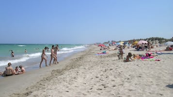 Lettini da mare