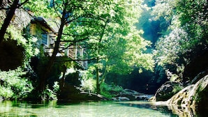 Une rivière paisible aux eaux claires, bordée d’une végétation luxuriante et traversée par un pont de pierre.