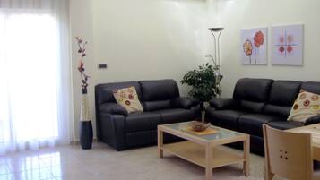 TV, fireplace, DVD player